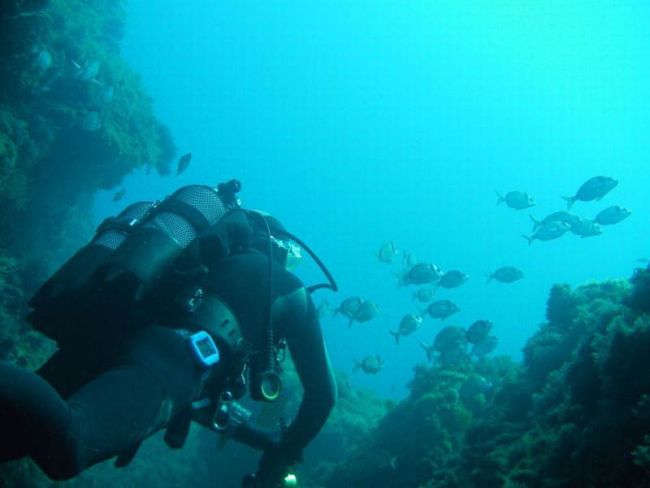 Plongee-sous-marine